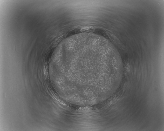 X0000060790914200512011701