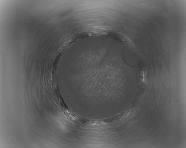 X0000060790915200512011701