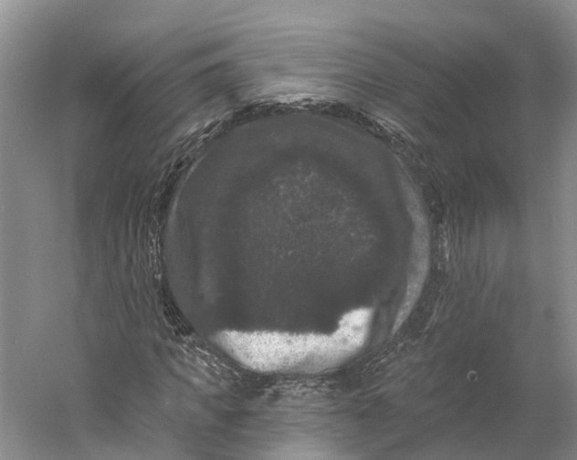 X0000060790917200512011702