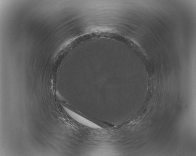 X0000060790919200512011702