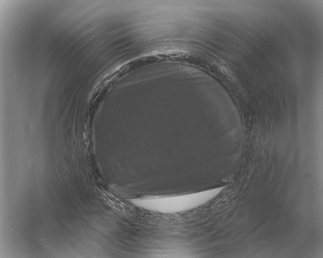 X0000060790920200512011702