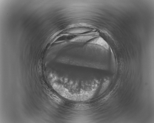 X0000060790921200512011702