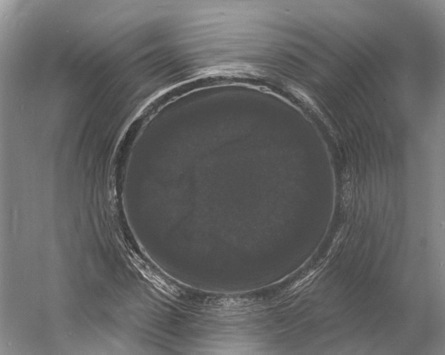 X0000060790923200512011702