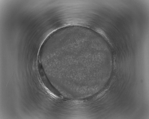 X0000060790924200512011702