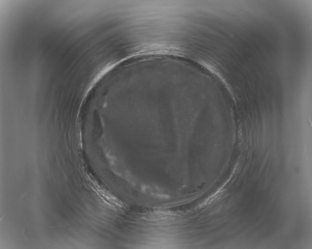 X0000060790925200512011702