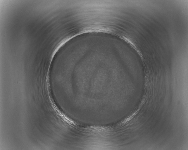 X0000060790928200512011702