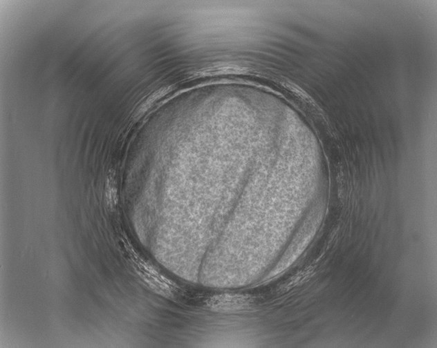 X0000060790929200512011702