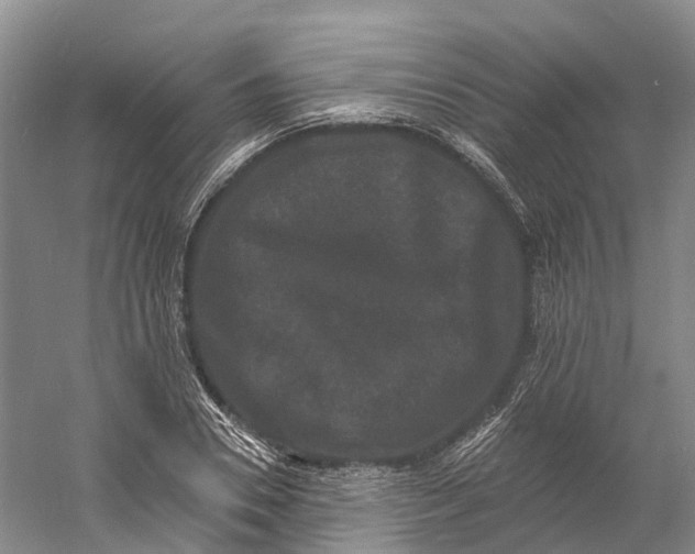 X0000060790930200512011702