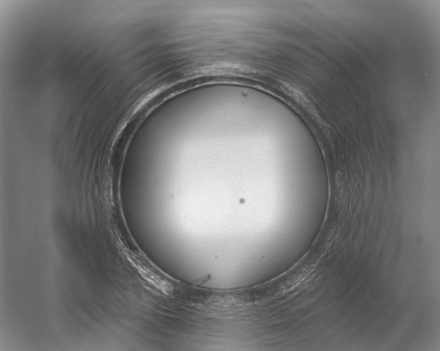 X0000060790931200512011702