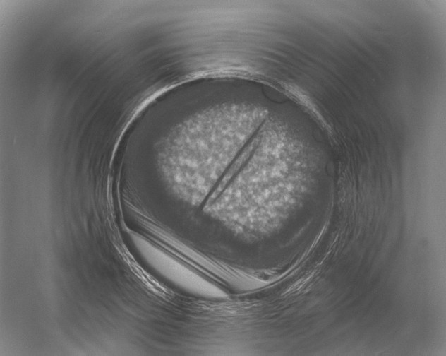 X0000060790932200512011702