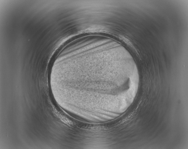 X0000060790934200512011702