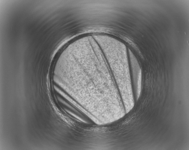 X0000060790936200512011702