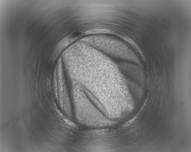 X0000060790937200512011702