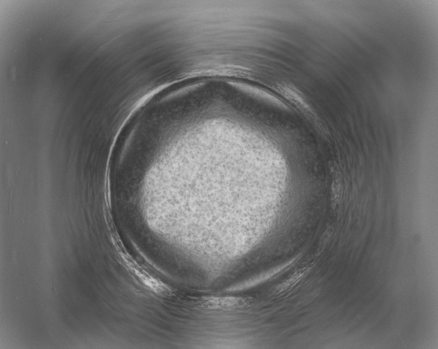 X0000060790940200512011702