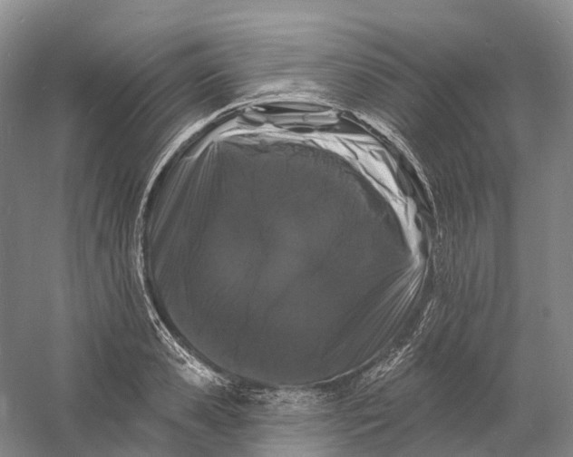 X0000060790941200512011702