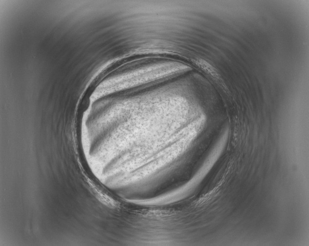 X0000060790942200512011702