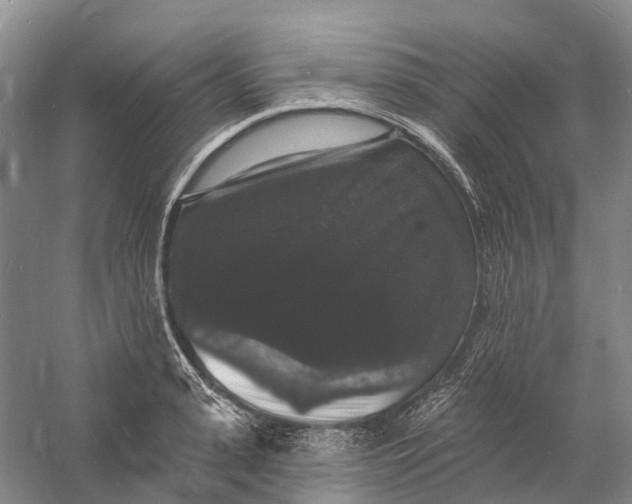 X0000060790943200512011702