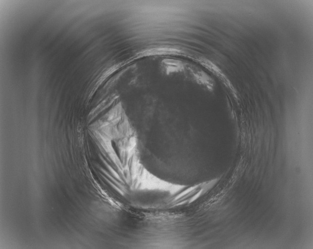 X0000060790945200512011702