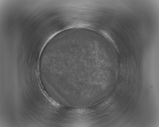 X0000060790948200512011702