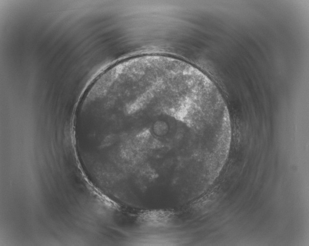 X0000060790950200512011702