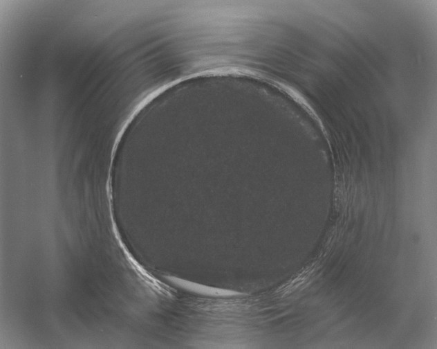 X0000060790951200512011702