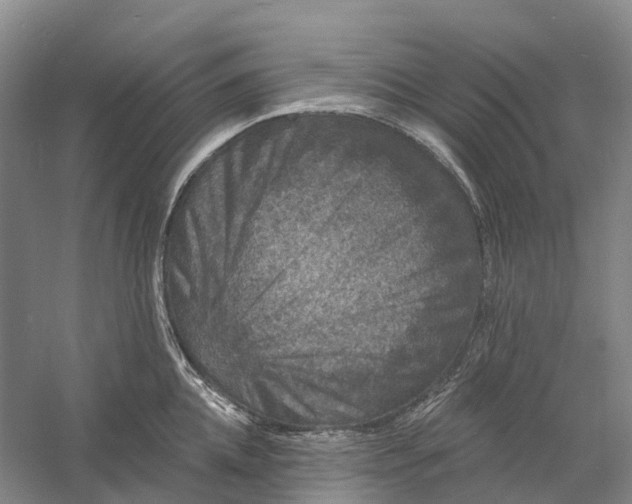 X0000060790952200512011702