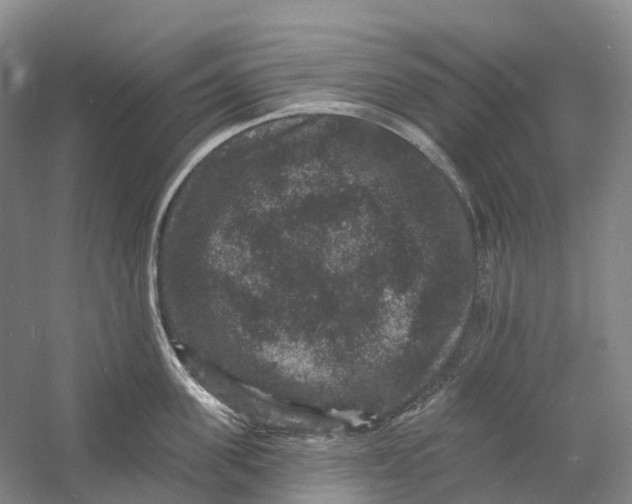 X0000060790955200512011702