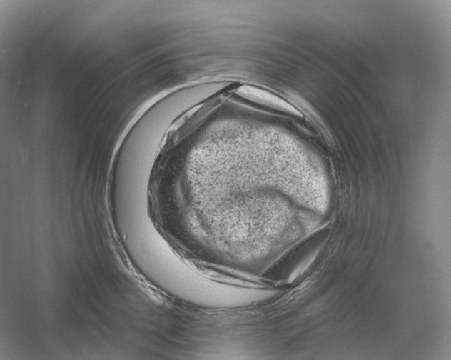 X0000060790956200512011702