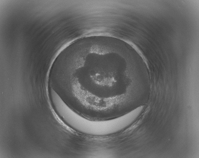 X0000060790957200512011702