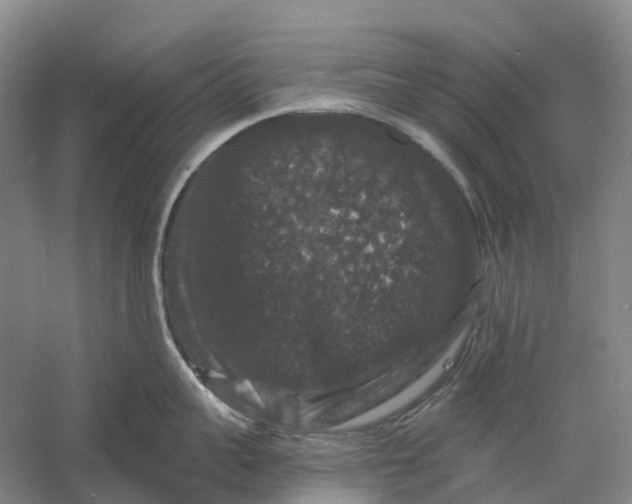 X0000060790959200512011702