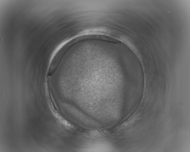 X0000060790960200512011702