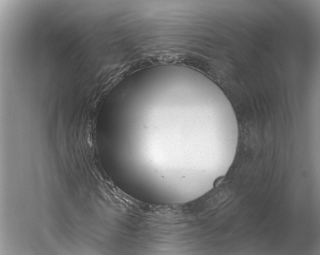 X0000060790962200512011701