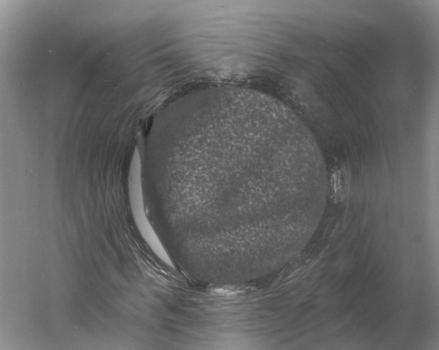 X0000060790963200512011701