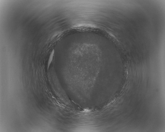 X0000060790965200512011701