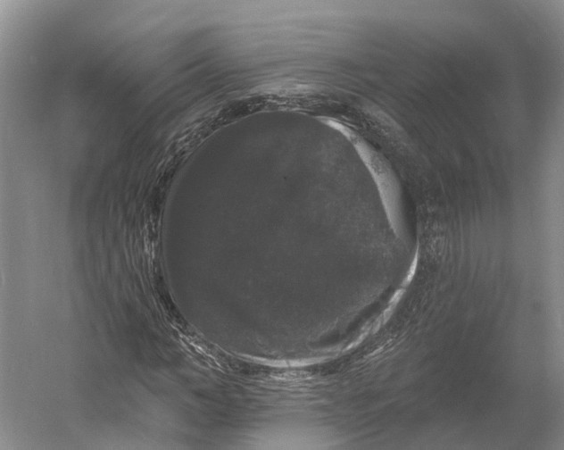 X0000060790966200512011701