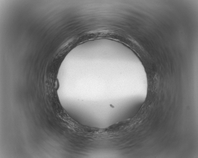 X0000060790967200512011701