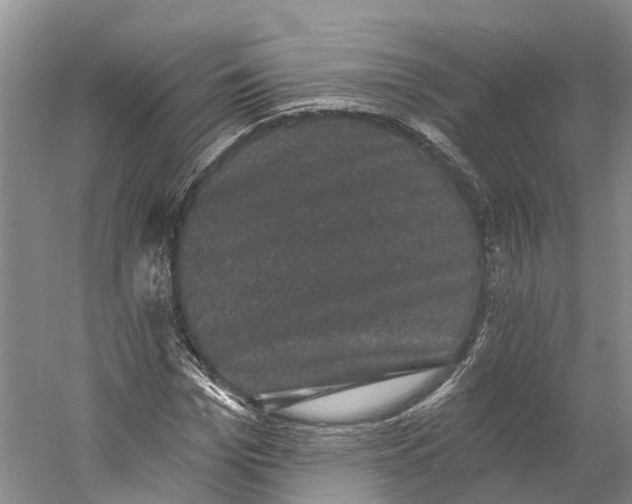 X0000060790969200512011701