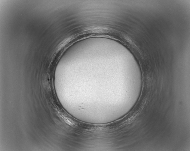 X0000060790970200512011701