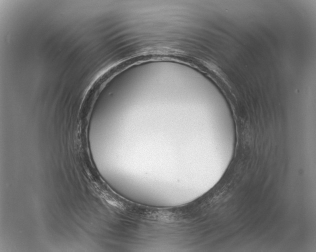 X0000060790971200512011701