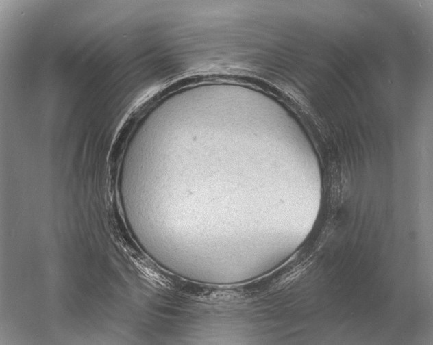 X0000060790974200512011701