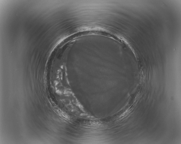 X0000060790975200512011701