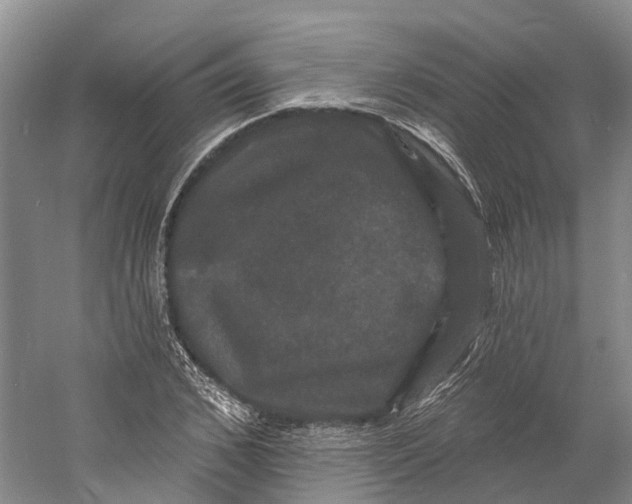 X0000060790976200512011701