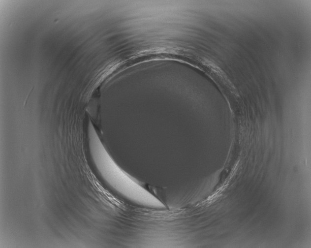 X0000060790977200512011701