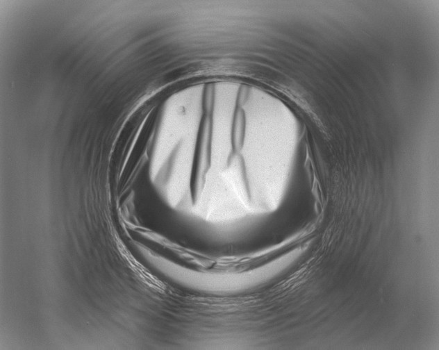 X0000060790980200512011701