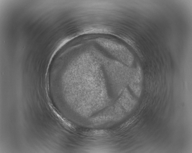 X0000060790982200512011701