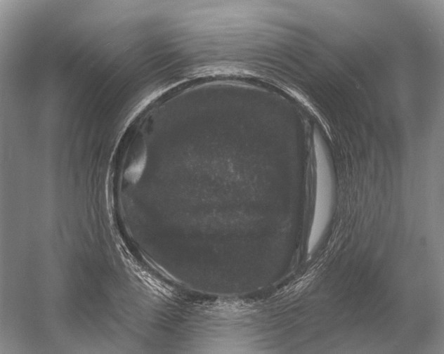 X0000060790983200512011701