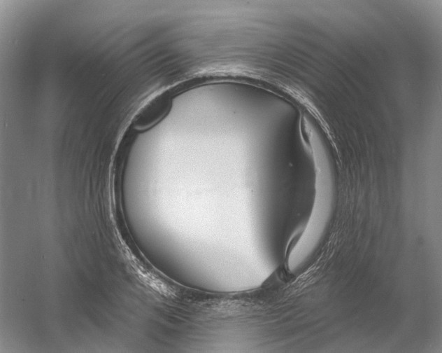 X0000060790984200512011701