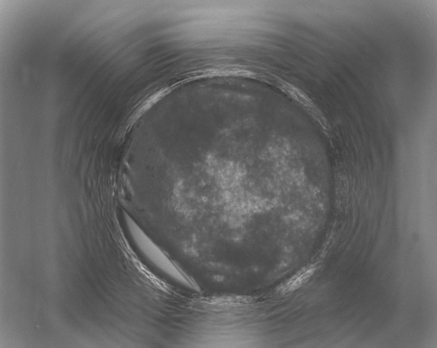 X0000060790985200512011701