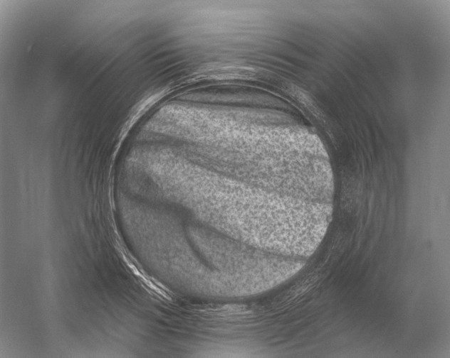 X0000060790986200512011701