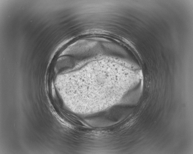 X0000060790987200512011701